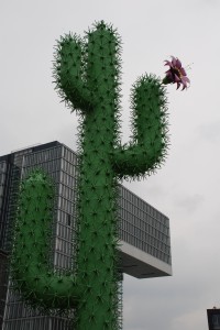 Urban Cactus Flower